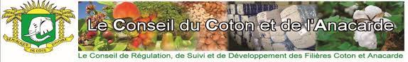 LE CONSEIL DU COTON ET DE L’ANACARDE